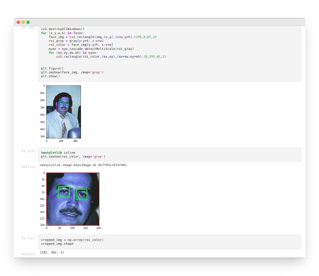 Criminal Classifier: OpenCV based Criminal Identification Model